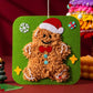 🔥Ultimo giorno 50% DI SCONTO-✨Set per bambola ricamabile fai da te🎁