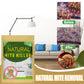 🔥 Bustina anti-acari naturale 🌿🛡️ - 100% senza sostanze chimiche | Sicura per neonati e animali | Protezione duratura 🛏️✨