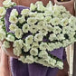 Coperta con bouquet di fiori all'uncinetto