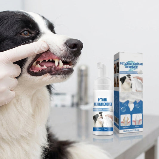 ✨ Offerta speciale: SCONTO DEL 50%! !🐾 Detergente schiumoso per la rimozione del tartaro negli animali domestici – Formula naturale e facile da usare!