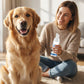 ✨ Sonderangebot 50% RABATT! !🐾 Schaum-Zahnsteinentferner für Haustiere – Natürliche Formel & mühelose Anwendung!