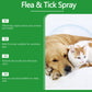 Spray naturale contro pulci e zecche per cani e gatti
