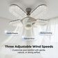 Per farti sentire fresco e pieno di energia 🌬️💡 Ventilatore con luce LED a 5 pale con effetto cristallo