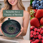 🍓 SCONTO DEL 65% IN QUESTO MOMENTO!🔥 Ciotola per lavare e servire i frutti di bosco “Berry Swirl” – Design a doppio uso con scolapasta integrato, base antiscivolo, perfetta per sciacquare, scolare e servire frutti di bosco o snack 🥣