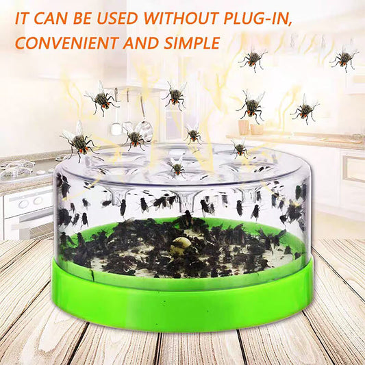 ⚡️Trappola per mosche riutilizzabile senza elettricità – ecologica, sicura e sempre pronta! ♻️✨